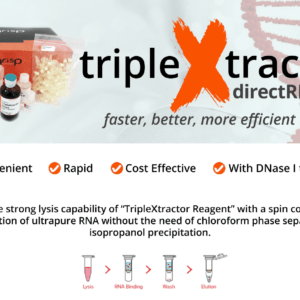 TripleXtractor directRNA Kit