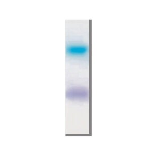 GRS DNA Loading Buffer Blue (6X)