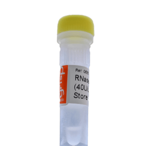 RNase Inhibitor (40 U/uL)