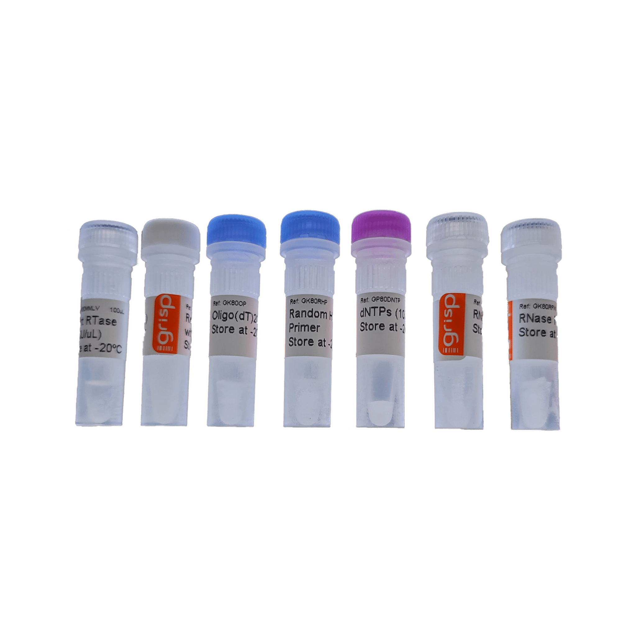 Xpert cDNA Synthesis Kit GRiSP