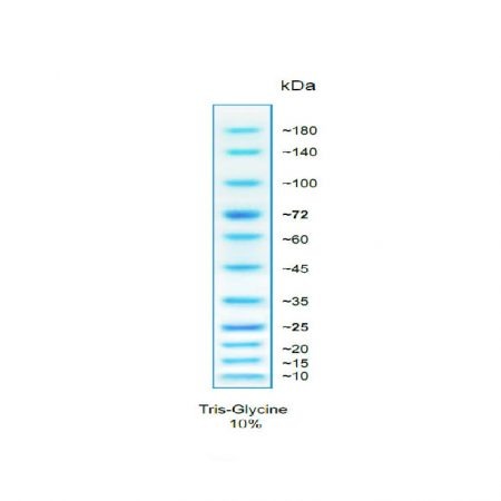 GRS Protein Marker Blue