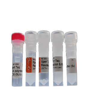 Xpert Taq DNA Polymerase (dNTPs included)